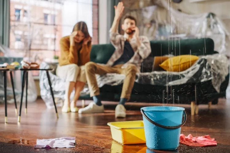 Emergency Water Removal in Paramount, CA | 24/7 Flood Water Extraction